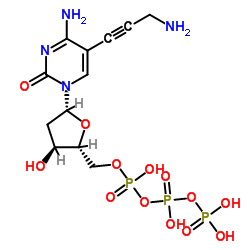 5-Propargylamino-dCTP结构式