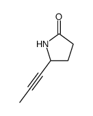 2-Pyrrolidinone,5-(1-propynyl)-(9CI) picture