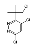 4,6-dichloro-3-(1-chloro-2-methylpropan-2-yl)pyridazine Structure