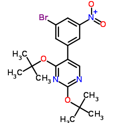 5-(3-Bromo-5-nitrophenyl)-2,4-di-tert-butoxypyrimidine结构式