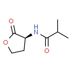 Propanamide,2-methyl-N-[(3S)-tetrahydro-2-oxo-3-furanyl]- Structure