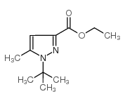 ethyl 1-tert-butyl-5-methylpyrazole-3-carboxylate结构式
