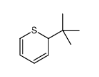 2-tert-butyl-2H-thiopyran结构式