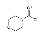 4-(dichloromethylidene)morpholin-4-ium Structure