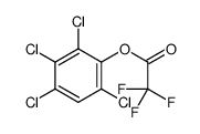 (2,3,4,6-tetrachlorophenyl) 2,2,2-trifluoroacetate Structure