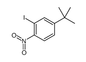 4-(tert-butyl)-2-iodo-1-nitrobenzene结构式