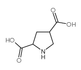 pyrrolidine-2,4-dicarboxylic acid Structure