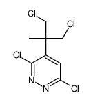 3,6-dichloro-4-(1,3-dichloro-2-methylpropan-2-yl)pyridazine Structure