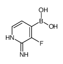 2-Amino-3-fluoropyridine-4-boronic acid picture