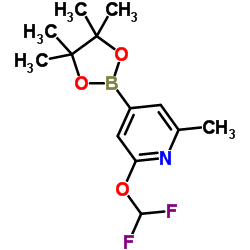 2-(Difluoromethoxy)-6-methyl-4-(4,4,5,5-tetramethyl-1,3,2-dioxaborolan-2-yl)pyridine Structure