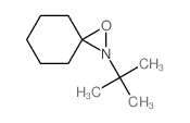 2-tert-butyl-1-oxa-2-azaspiro[2.5]octane结构式