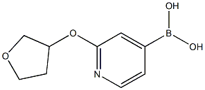 2-(Tetrahydrofuran-3-yloxy)pyridine-4-boronic acid结构式