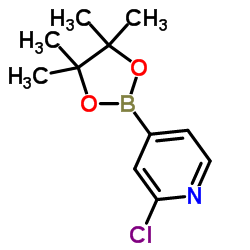 2-Chloropyridine-4-boronic acid pinacol ester picture