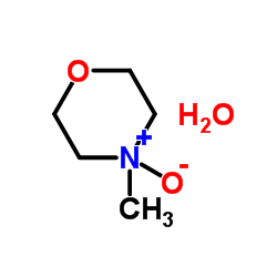 N-methylmorpholine-N-oxide picture