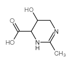 2-methyl-4-carboxy-5-hydroxy-3,4,5,6-tetrahydropyrimidine structure