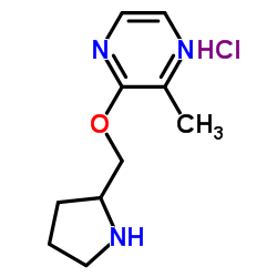 2-Methyl-3-(2-pyrrolidinylmethoxy)pyrazine hydrochloride (1:1) Structure