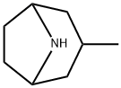 3-methyl-8-azabicyclo[3.2.1]octane Structure