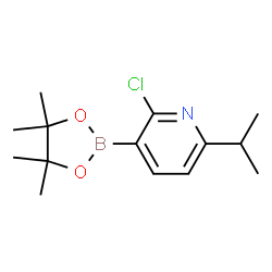 2-Chloro-6-isopropylpyridine-3-boronic acid pinacol ester picture