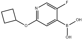 5-Fluoro-2-(cyclobutoxy)pyridine-4-boronic acid Structure