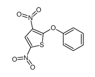 3,5-dinitro-2-phenoxythiophene Structure