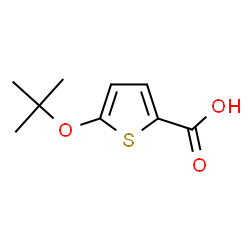 5-tert-Butoxythiophene-2-carboxylic acid结构式