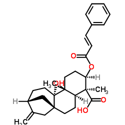 3α-Cinnamoyloxypterokaurene L3 structure