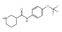 N-(4-三氟甲氧基苯基)哌啶-3-甲酰胺结构式