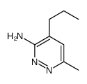 6-methyl-4-propylpyridazin-3-amine Structure