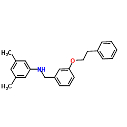 3,5-Dimethyl-N-[3-(2-phenylethoxy)benzyl]aniline结构式