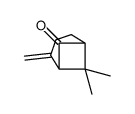 6,6-dimethyl-4-methylidenebicyclo[3.1.1]heptan-7-one结构式