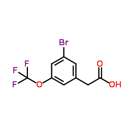 3-Bromo-5-(trifluoromethoxy)-phenylacetic acid picture