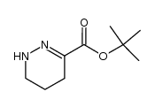 tert-butyl 1,4,5,5-tetrahydropyriadazine-3-carboxylate结构式