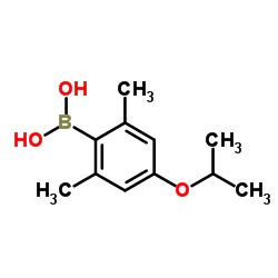 2,6-Dimethyl-4-isopropoxyphenylboronic acid结构式