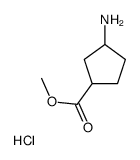 Methyl 3-aminocyclopentanecarboxylate hydrochloride structure