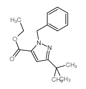 ETHYL 1-BENZYL-3-(TERT-BUTYL)-1H-PYRAZOLE-5-CARBOXYLATE picture