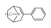 8-methyl-3-phenyl-8-azabicyclo[3.2.1]oct-3-ene structure