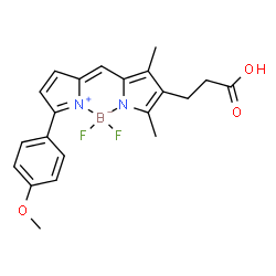 BDP TMR carboxylic acid picture