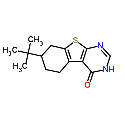 7-(叔丁基)-5,6,7,8-四氢苯并[4,5]噻吩并[2,3-d]嘧啶-4-醇结构式