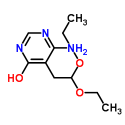 6-Amino-5-(2,2-diethoxyethyl)pyrimidin-4-ol picture