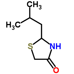 2-Isobutyl-1,3-thiazolidin-4-one结构式