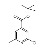 2-chloro-6-methyl-isonicotinic acid tert.-butyl ester结构式
