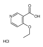 4-Ethoxypyridine-3-carboxylic acid hydrochloride structure