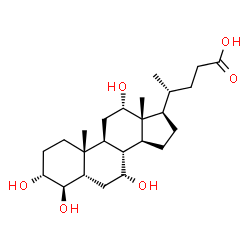 (3a,4b,5b,7a,12a)-3,4,7,12-tetrahydroxy-Cholan-24-oic acid Structure