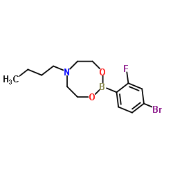 4-Bromo-2-fluorophenylboronic acid N-butyldiethanolamine ester Structure
