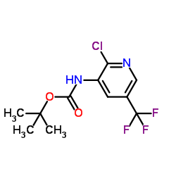 tert-Butyl (2-chloro-5-(trifluoromethyl)pyridin-3-yl)carbamate Structure