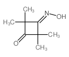 1,3-Cyclobutanedione,2,2,4,4-tetramethyl-, 1-oxime structure