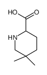 2-Piperidinecarboxylicacid,5,5-dimethyl-(9CI) structure