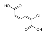 cis,cis-2-Chloro-2,4-hexadienedioic acid Structure