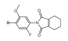 2-(4-bromo-2-fluoro-5-methoxyphenyl)-4,5,6,7-tetrahydroisoindole-1,3-dione Structure