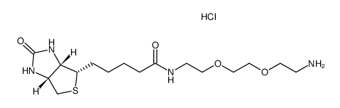 5-(2-oxo-hexahydro-thieno[3,4-d]imidazol-4-yl)-pentanoic acid{2-[2-(2-amino-ethoxy)-ethoxy]-ethyl}-amide hydrochloride salt结构式